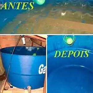 Família Protegida com Lavar tapete em Rio das Pedras