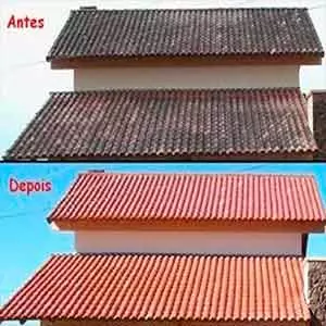 Inspeção na Lavar tapete em Rio das Pedras