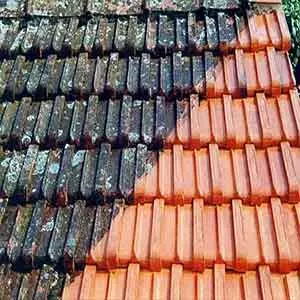 Áreas De Atuação da Lavar tapete em Rio das Pedras